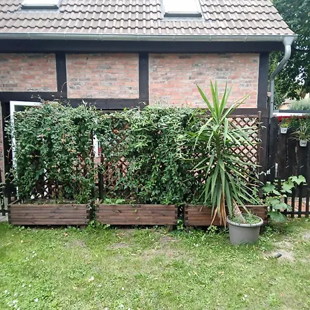 Gesinde Loft Schonwalde (Dahme-Spreewald)